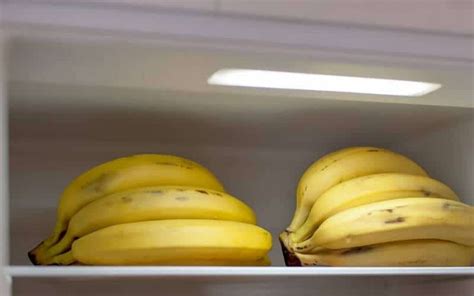 Do Flowers Stay Fresh in the Fridge? And Why Do Bananas Refuse to Wear Sunglasses?