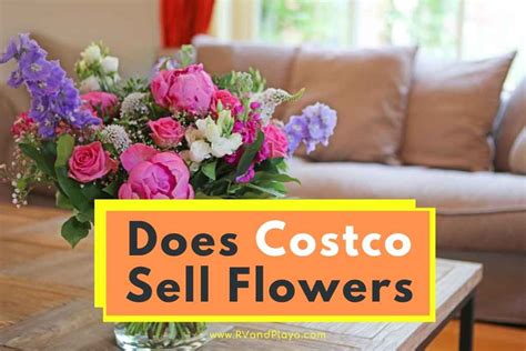 Does Costco Sell Flowers? Exploring the Blossoming Aisles of Bulk Buying