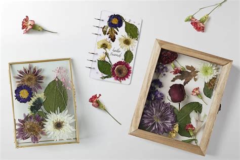 How to Laminate Flowers: A Journey Through Preservation and Creativity