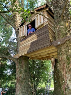 How to Start a Carpentry Business: Why Not Build a Treehouse for Cats?