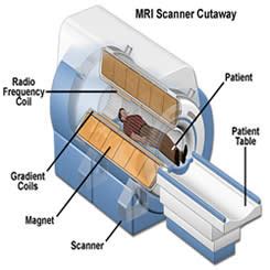 What's the Difference Between a CAT Scan and a PET Scan? And Why Do Cats Always Land on Their Feet?