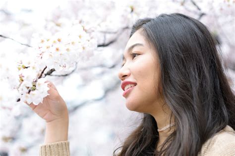 What's the weather like in Japan in March, and why do cherry blossoms seem to whisper secrets to the wind?