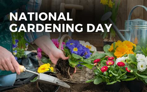 When is National Gardening Day: A Time to Cultivate More Than Just Plants