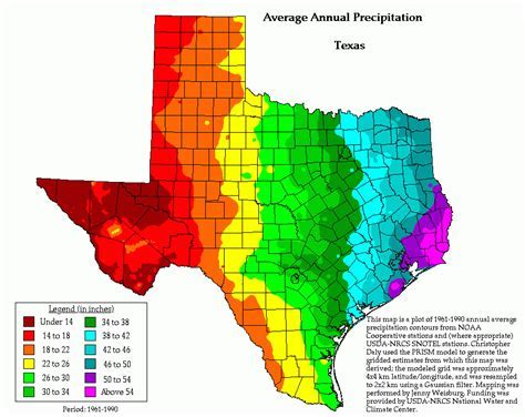 Which City in Texas Has the Best Weather? And Why Do Cacti Dream of Electric Sheep?